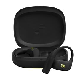 JBL Endurance Zone